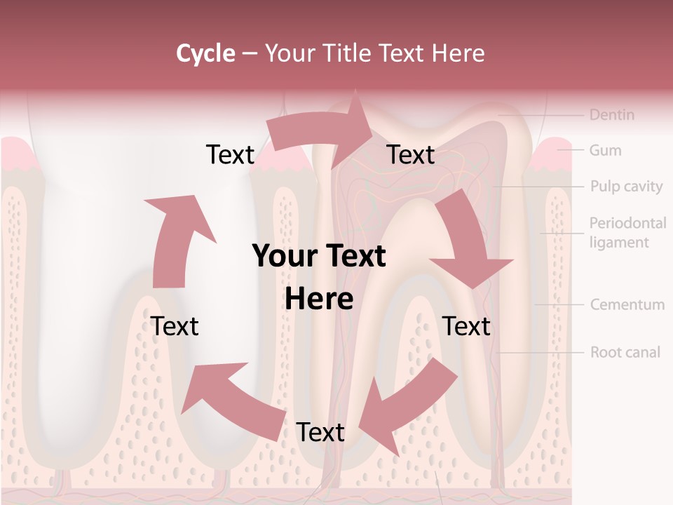 Tooth Crevice Medicine PowerPoint Template