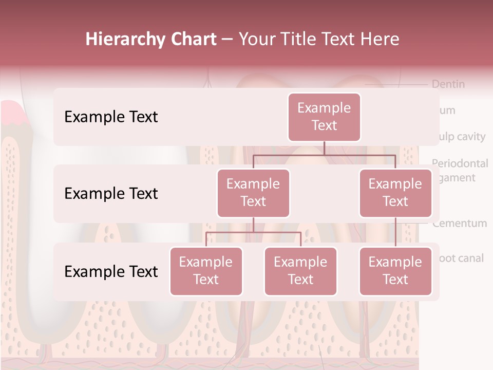 Tooth Crevice Medicine PowerPoint Template