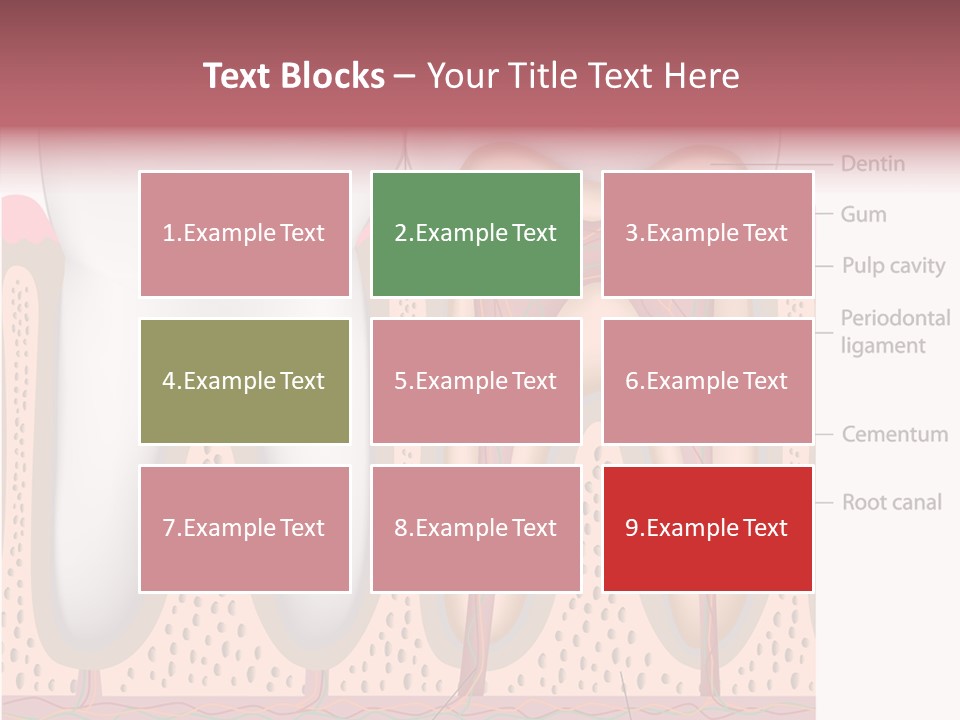Tooth Crevice Medicine PowerPoint Template