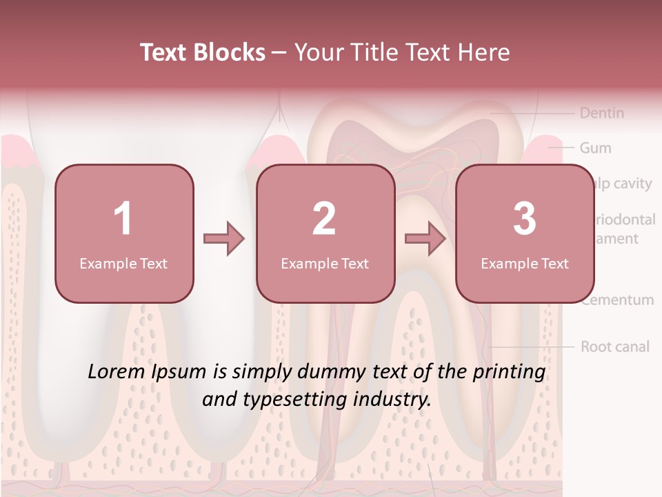Tooth Crevice Medicine PowerPoint Template