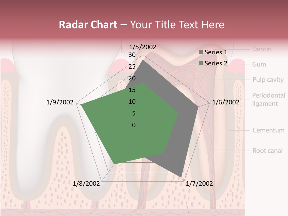 Tooth Crevice Medicine PowerPoint Template