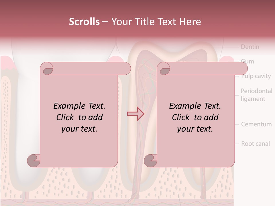 Tooth Crevice Medicine PowerPoint Template