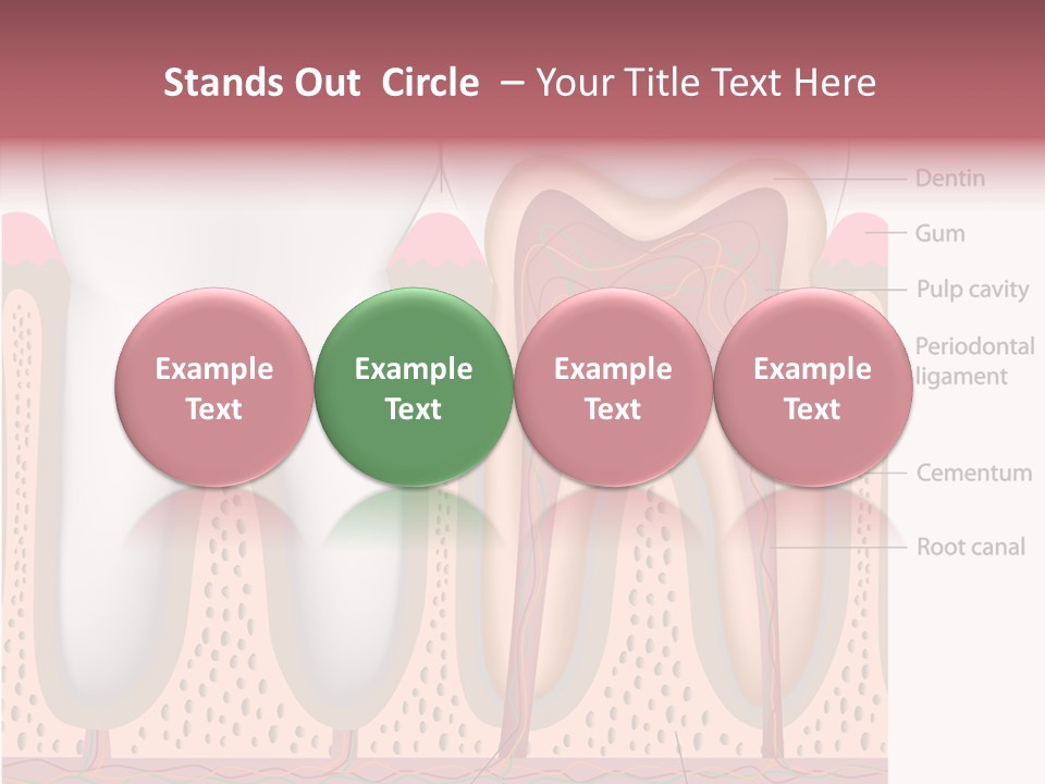 Tooth Crevice Medicine PowerPoint Template