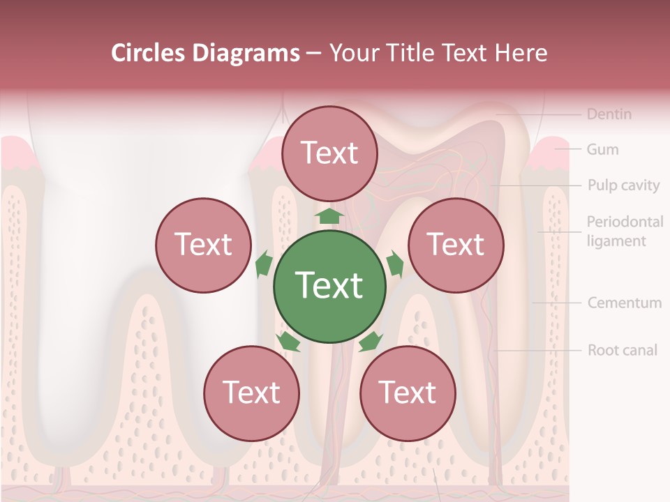 Tooth Crevice Medicine PowerPoint Template