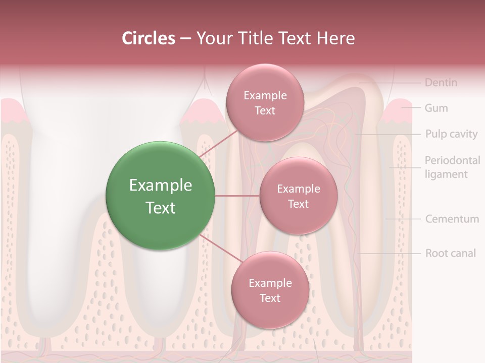 Tooth Crevice Medicine PowerPoint Template