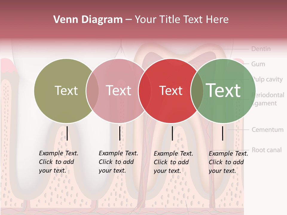 Tooth Crevice Medicine PowerPoint Template