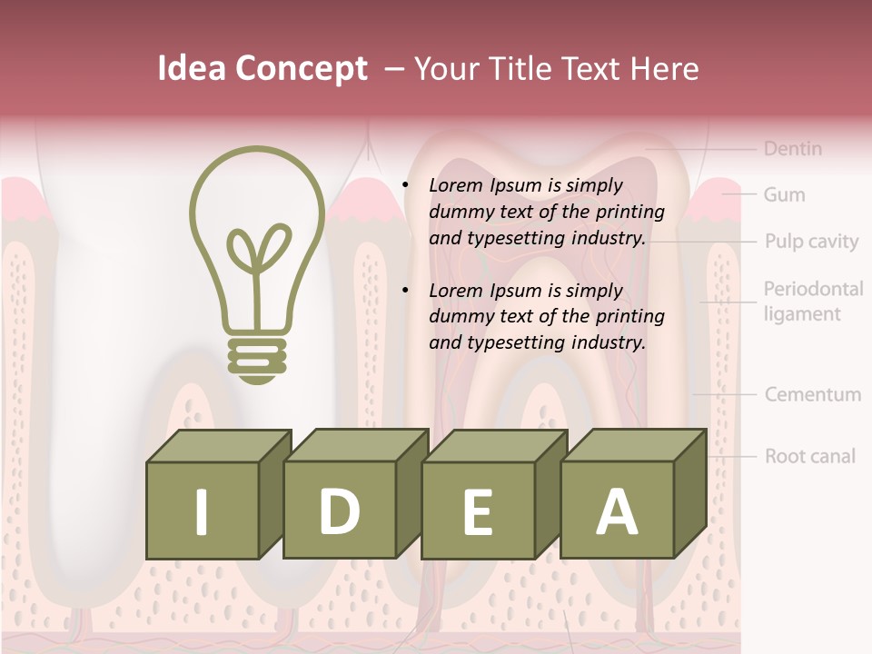 Tooth Crevice Medicine PowerPoint Template
