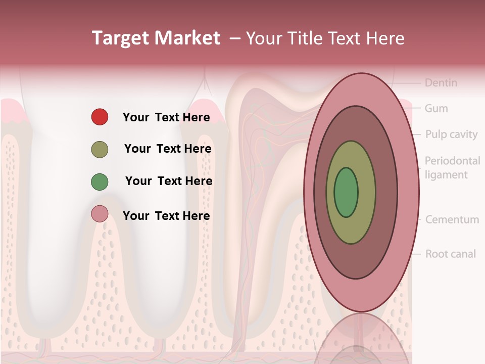 Tooth Crevice Medicine PowerPoint Template