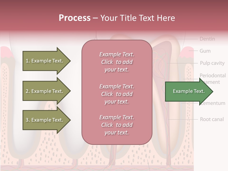 Tooth Crevice Medicine PowerPoint Template