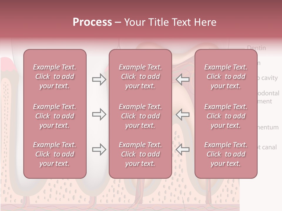 Tooth Crevice Medicine PowerPoint Template