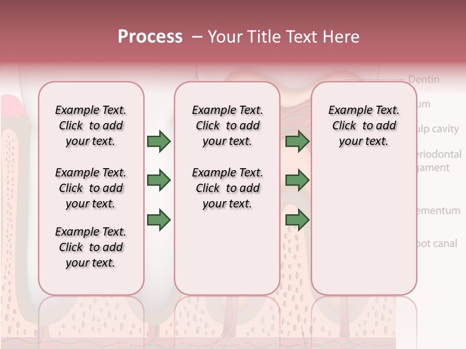 Tooth Crevice Medicine PowerPoint Template