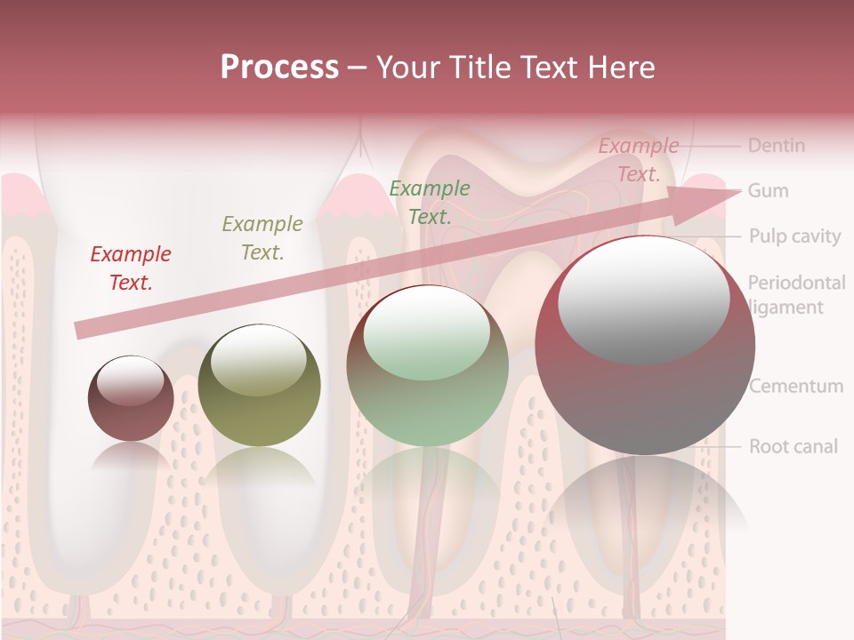 Tooth Crevice Medicine PowerPoint Template
