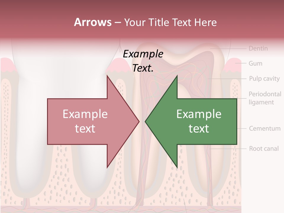 Tooth Crevice Medicine PowerPoint Template