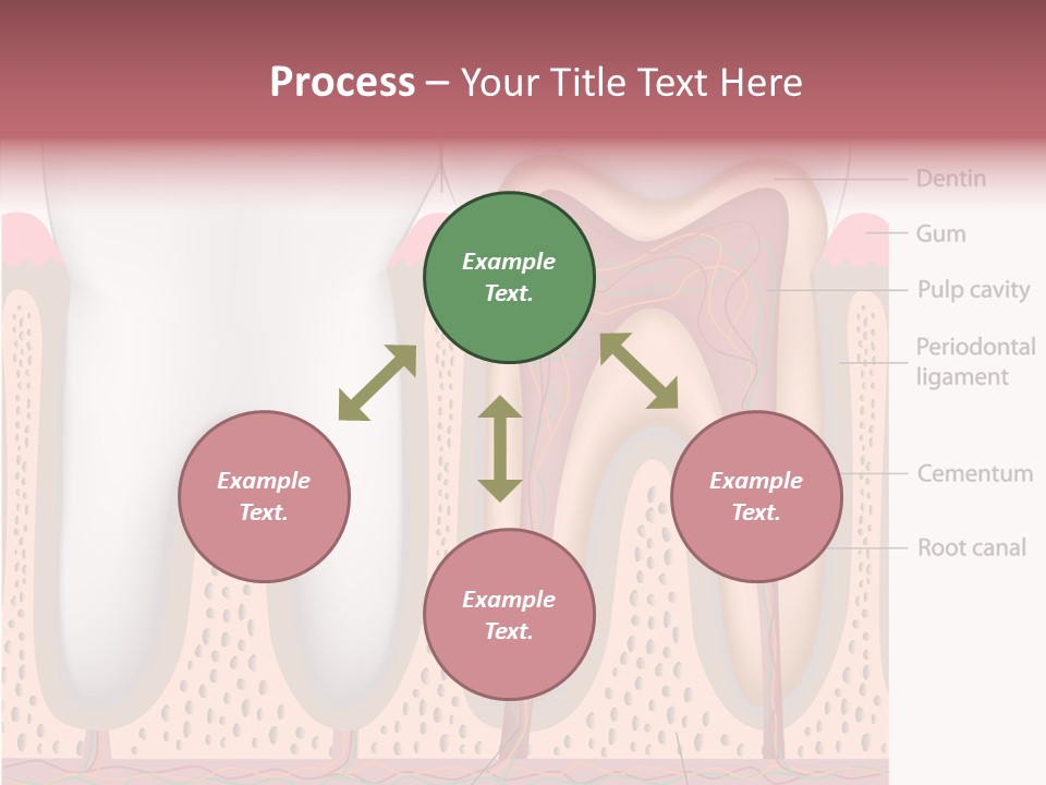Tooth Crevice Medicine PowerPoint Template