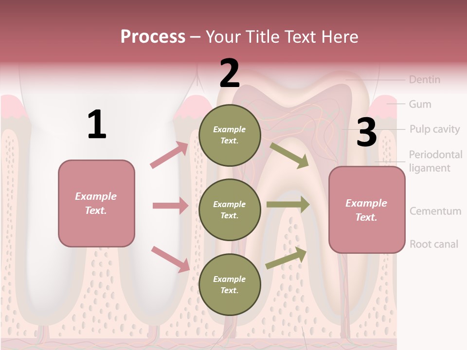 Tooth Crevice Medicine PowerPoint Template