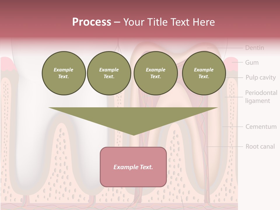 Tooth Crevice Medicine PowerPoint Template