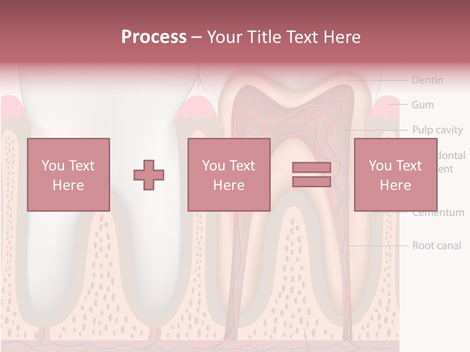 Tooth Crevice Medicine PowerPoint Template