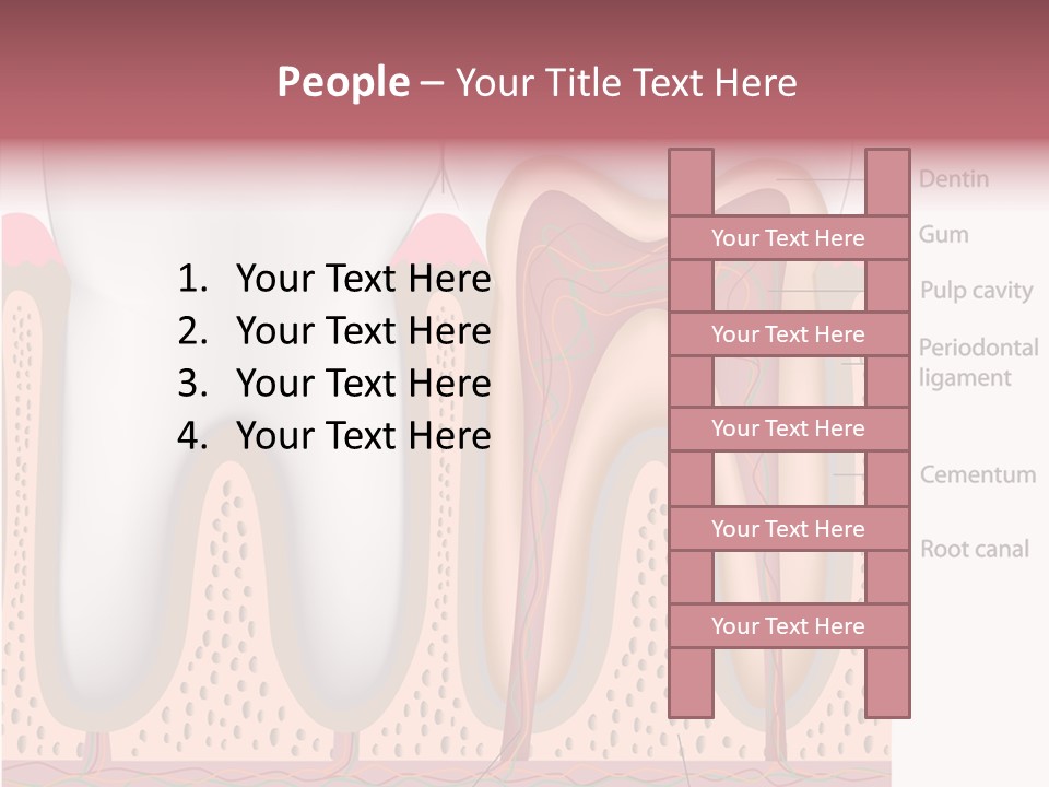 Tooth Crevice Medicine PowerPoint Template
