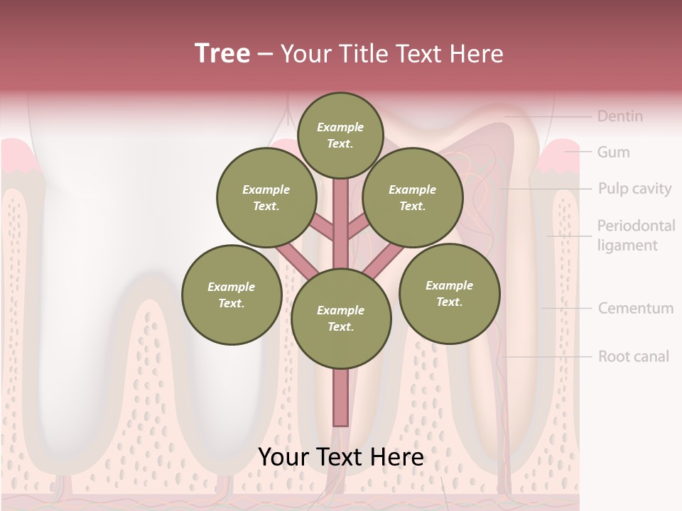 Tooth Crevice Medicine PowerPoint Template