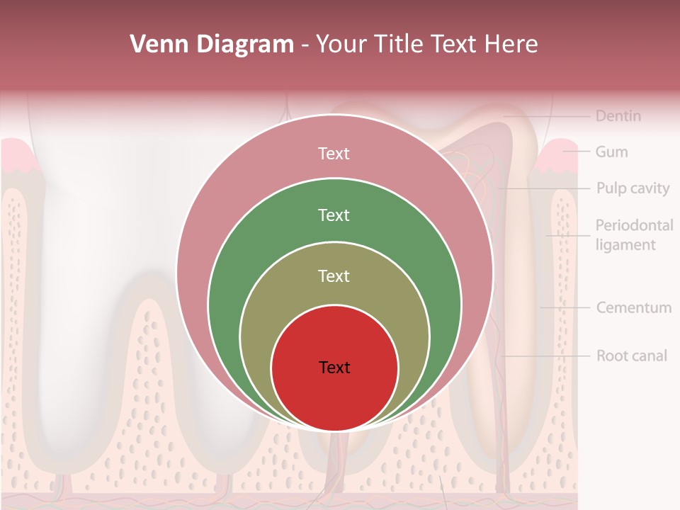 Tooth Crevice Medicine PowerPoint Template