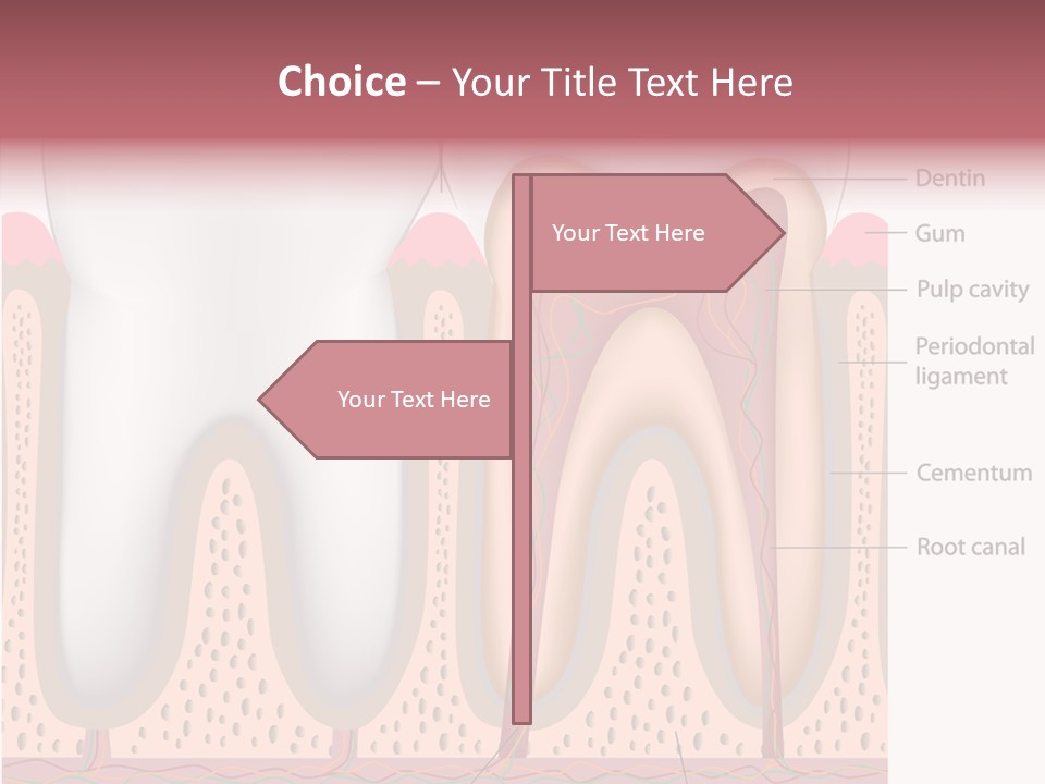 Tooth Crevice Medicine PowerPoint Template