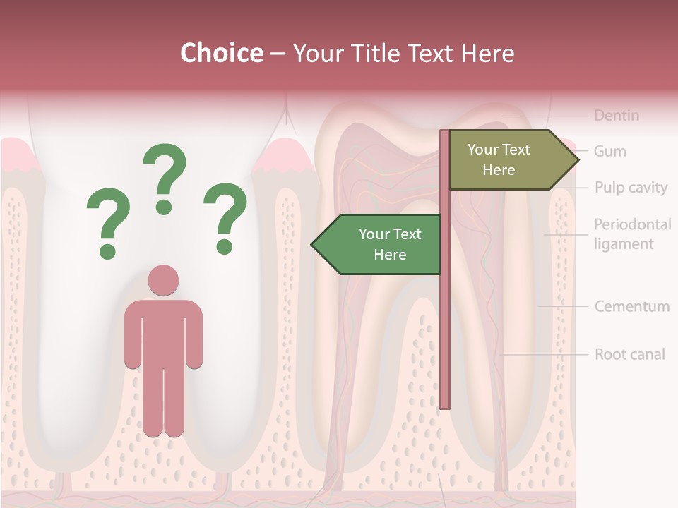Tooth Crevice Medicine PowerPoint Template