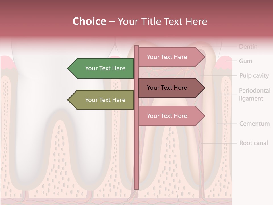 Tooth Crevice Medicine PowerPoint Template