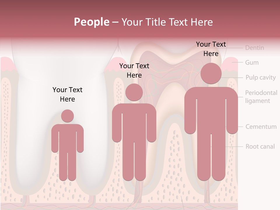 Tooth Crevice Medicine PowerPoint Template