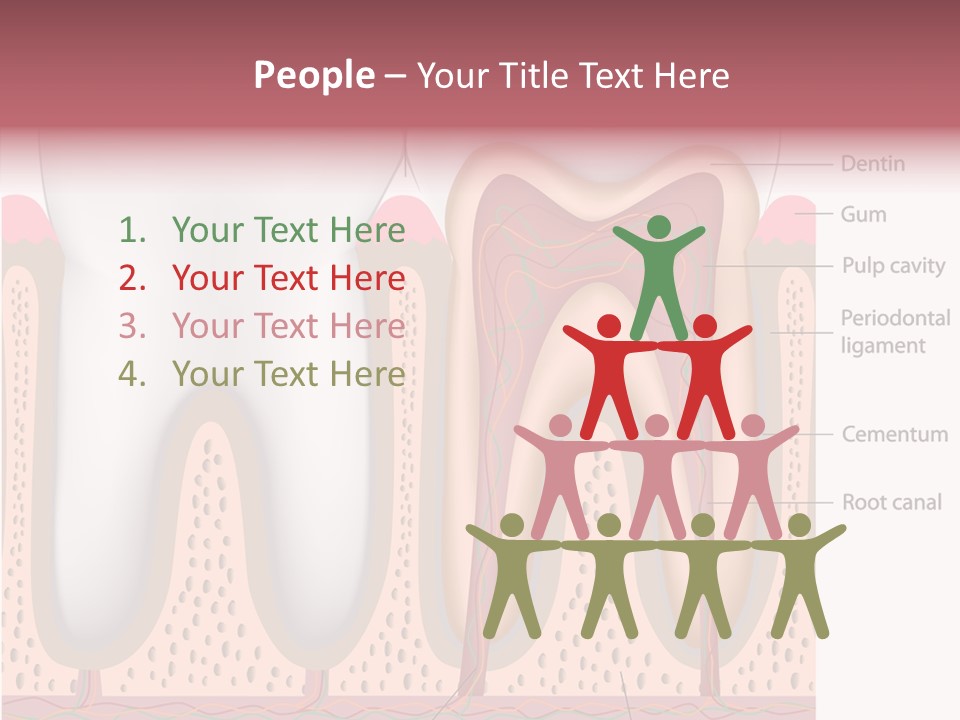 Tooth Crevice Medicine PowerPoint Template