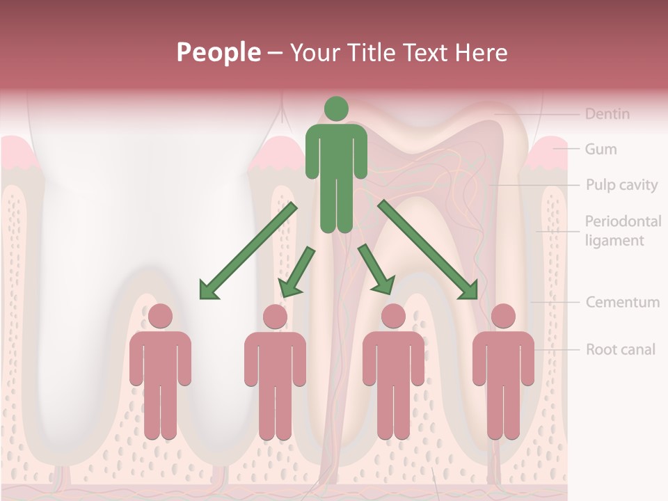 Tooth Crevice Medicine PowerPoint Template