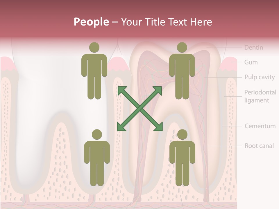 Tooth Crevice Medicine PowerPoint Template