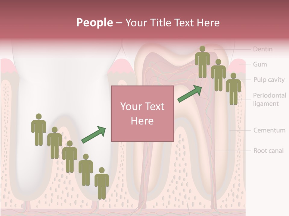 Tooth Crevice Medicine PowerPoint Template