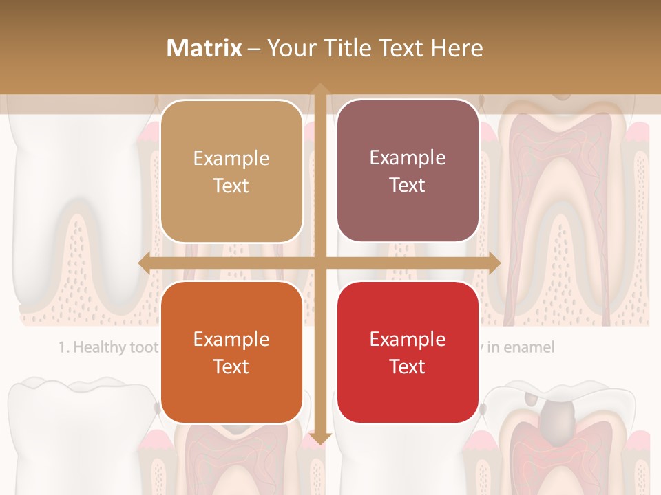 Blood Human Science PowerPoint Template