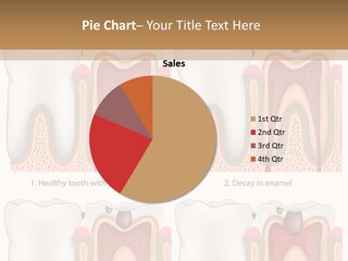 Blood Human Science PowerPoint Template