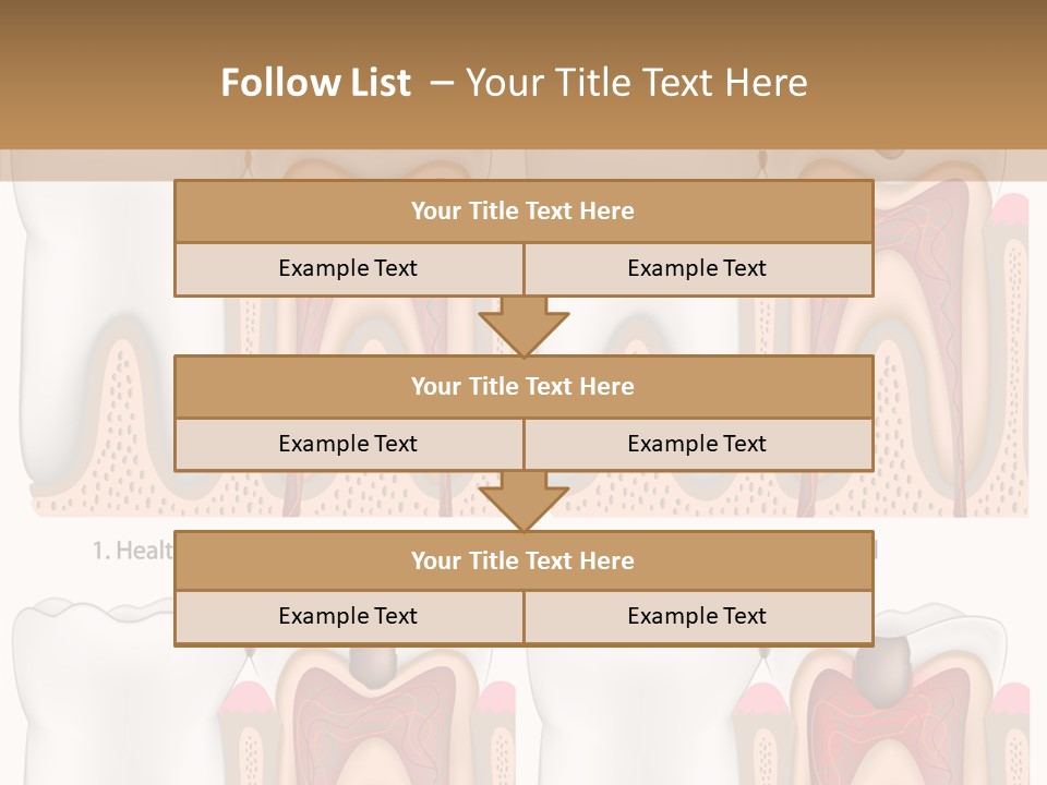 Blood Human Science PowerPoint Template