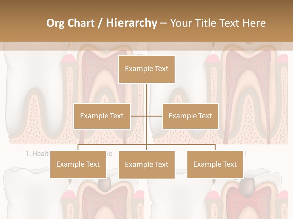 Blood Human Science PowerPoint Template