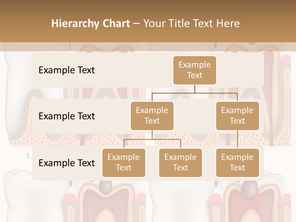 Blood Human Science PowerPoint Template