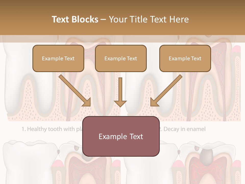 Blood Human Science PowerPoint Template
