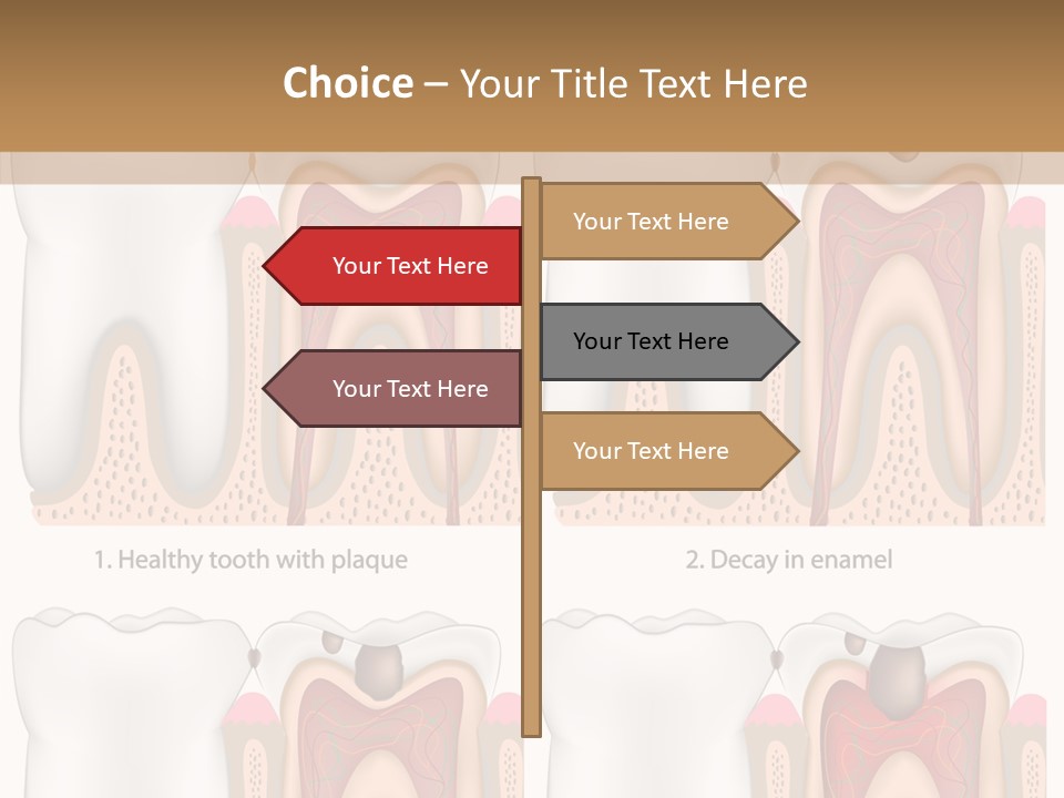 Blood Human Science PowerPoint Template