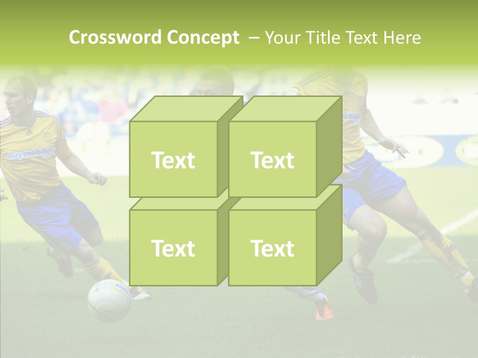 Bluebirds Craig Bellamy English PowerPoint Template