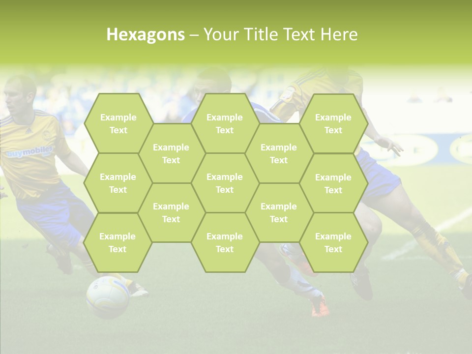 Bluebirds Craig Bellamy English PowerPoint Template