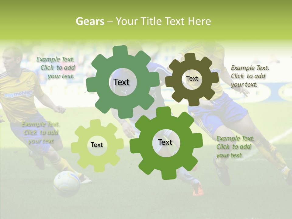 Bluebirds Craig Bellamy English PowerPoint Template