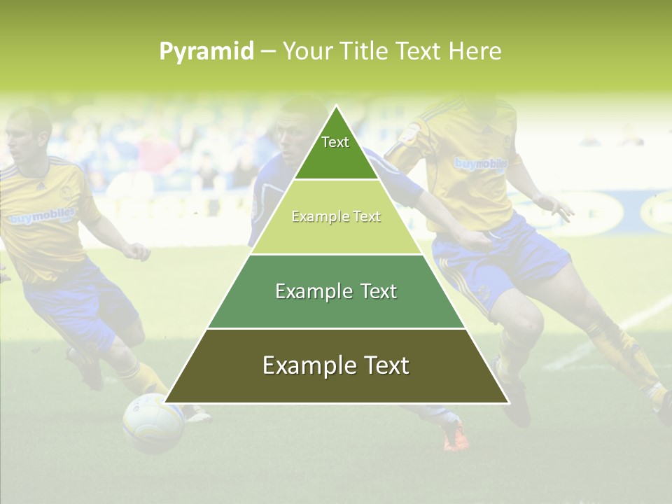 Bluebirds Craig Bellamy English PowerPoint Template