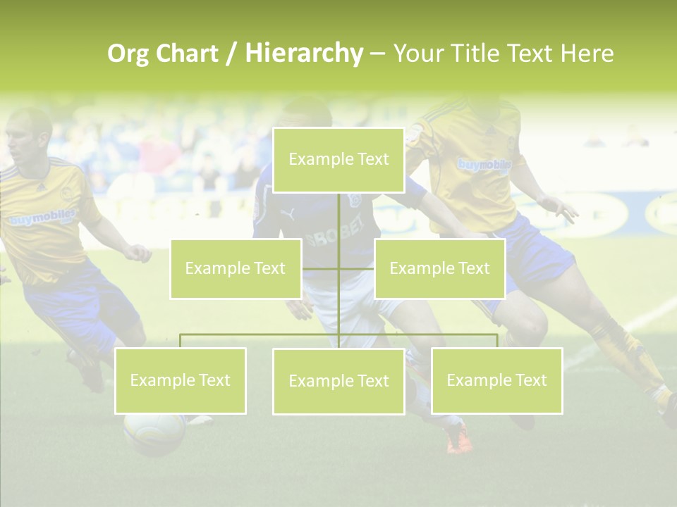 Bluebirds Craig Bellamy English PowerPoint Template