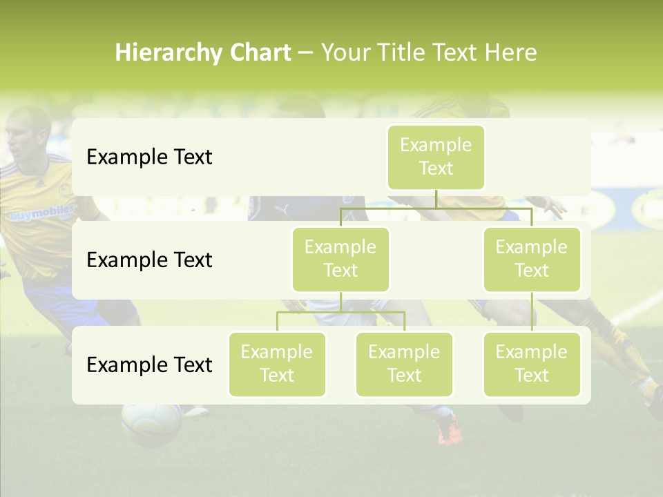 Bluebirds Craig Bellamy English PowerPoint Template