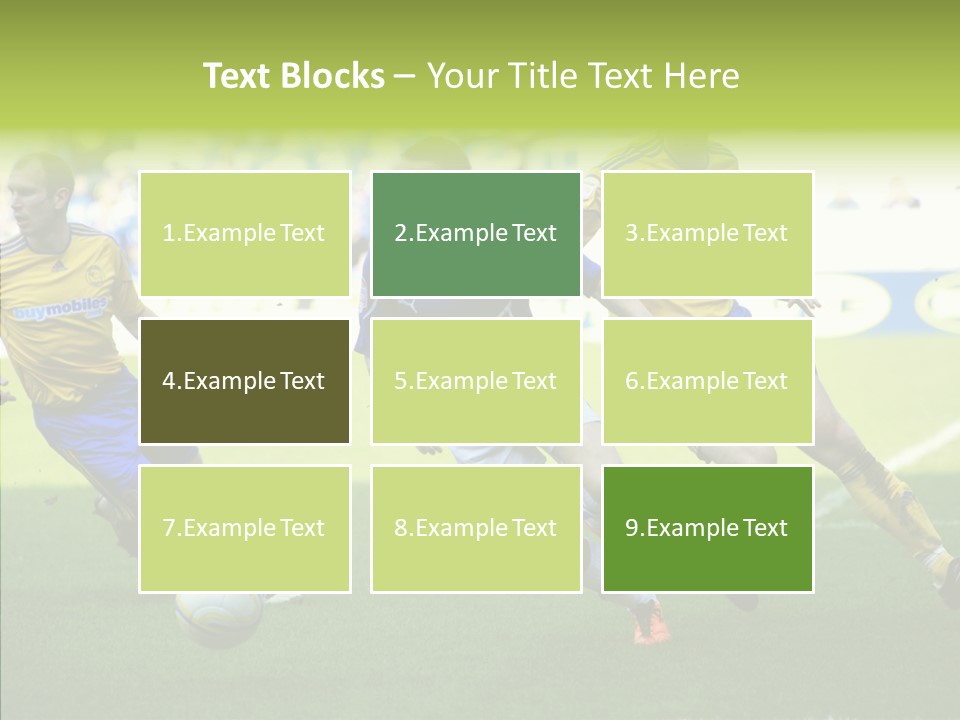 Bluebirds Craig Bellamy English PowerPoint Template