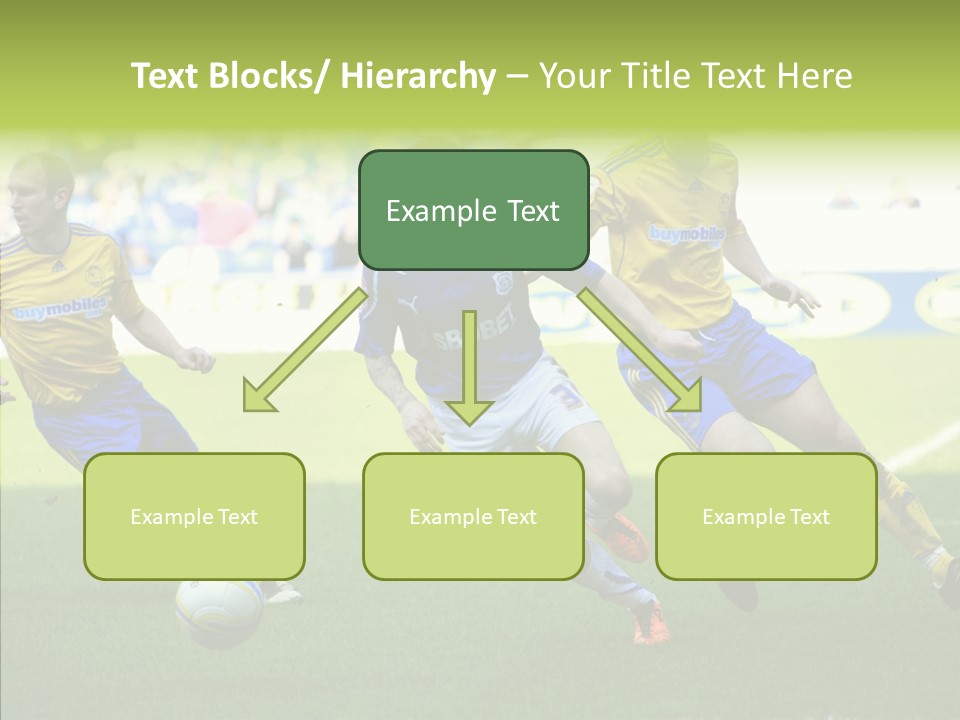 Bluebirds Craig Bellamy English PowerPoint Template