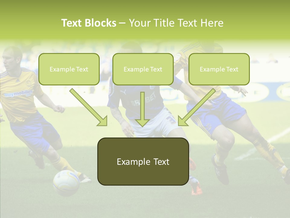 Bluebirds Craig Bellamy English PowerPoint Template