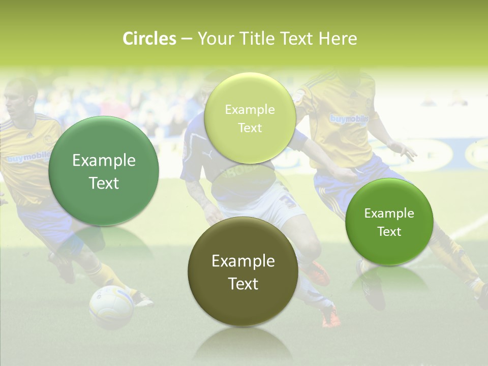 Bluebirds Craig Bellamy English PowerPoint Template