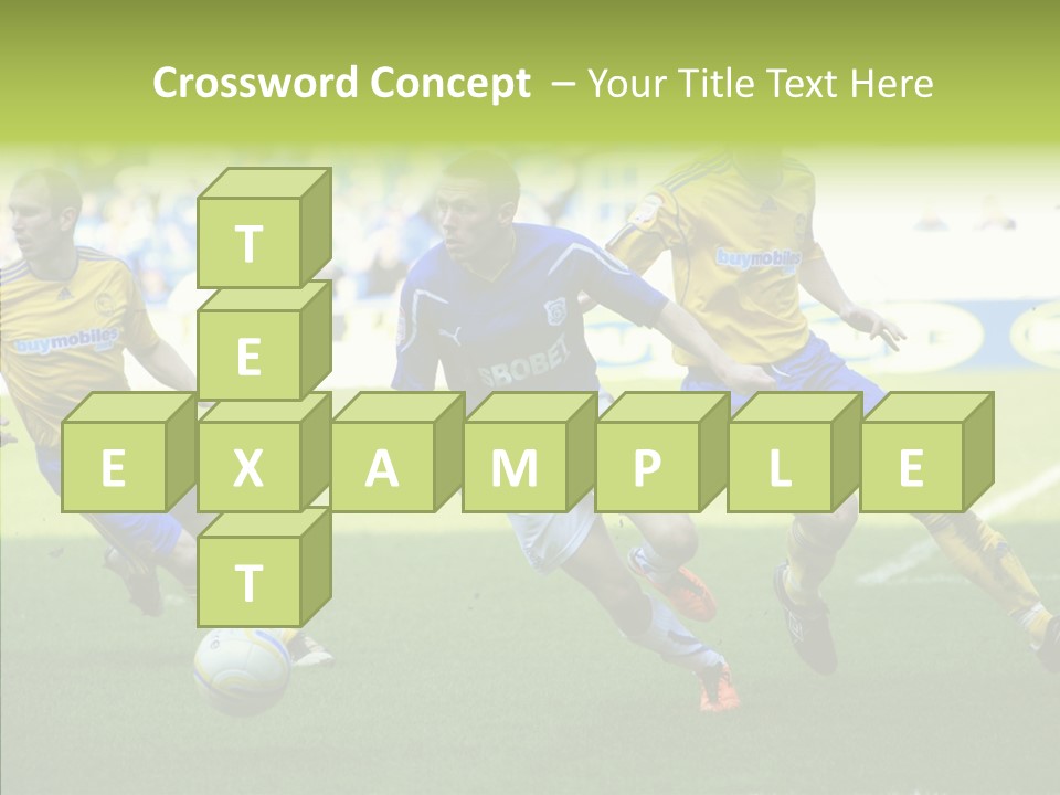 Bluebirds Craig Bellamy English PowerPoint Template